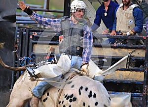 Western Cowboy bull riding at rodeo
